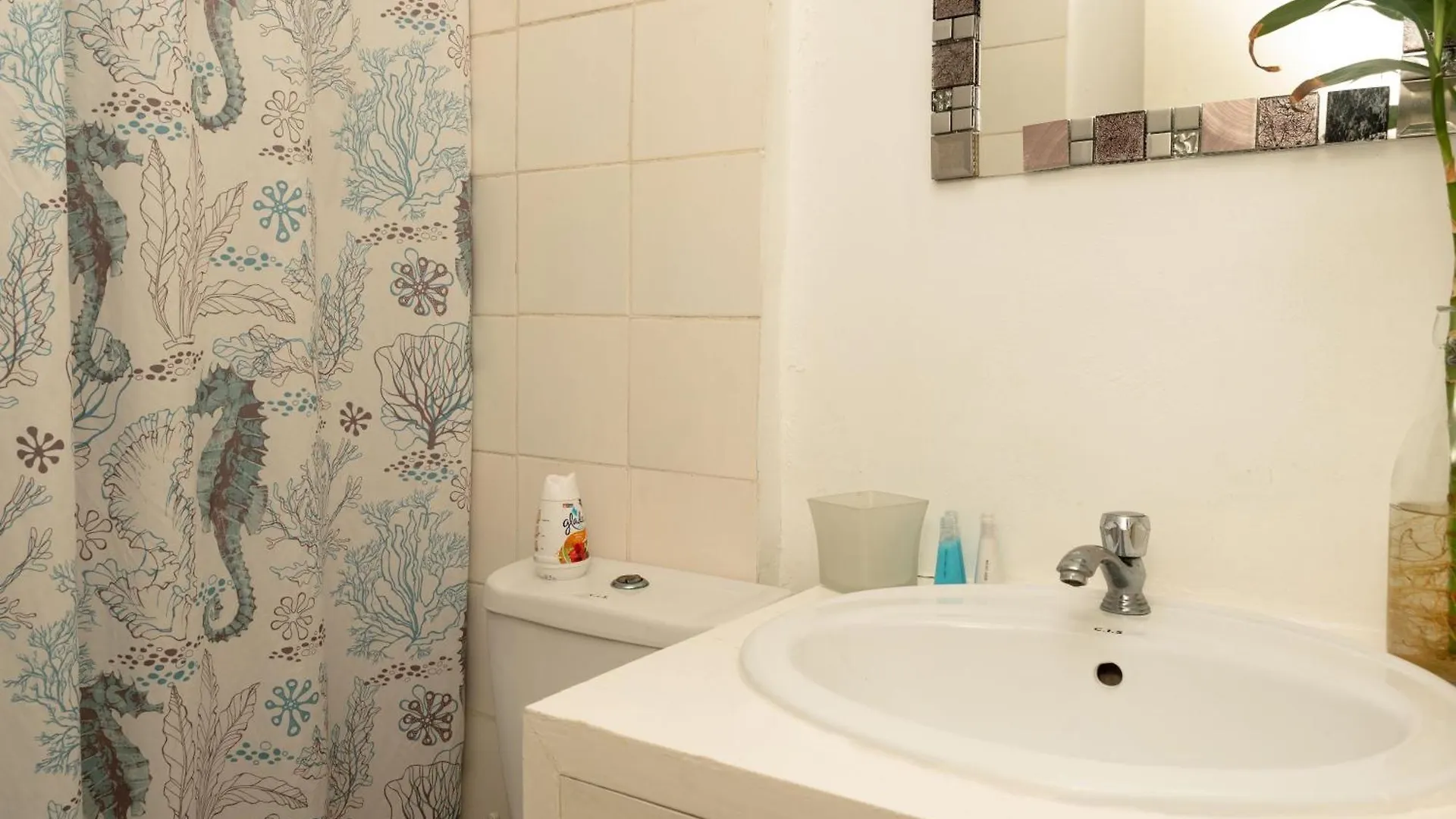 Hotel Boutique Simona La Romana
