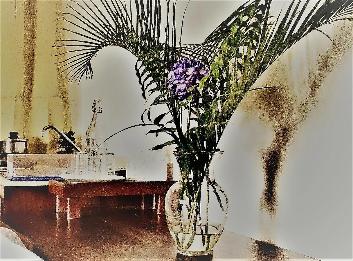Hotel Boutique Simona La Romana