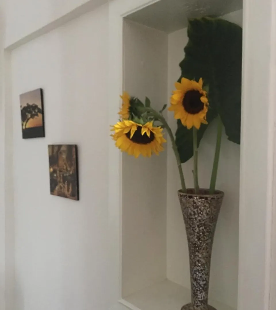 Hotel Boutique Simona La Romana